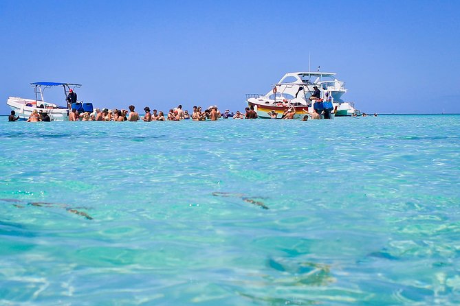 Saona Island Full Day From Punta Cana - Photos and Wildlife: How to Get the Most Without Feeling Rushed