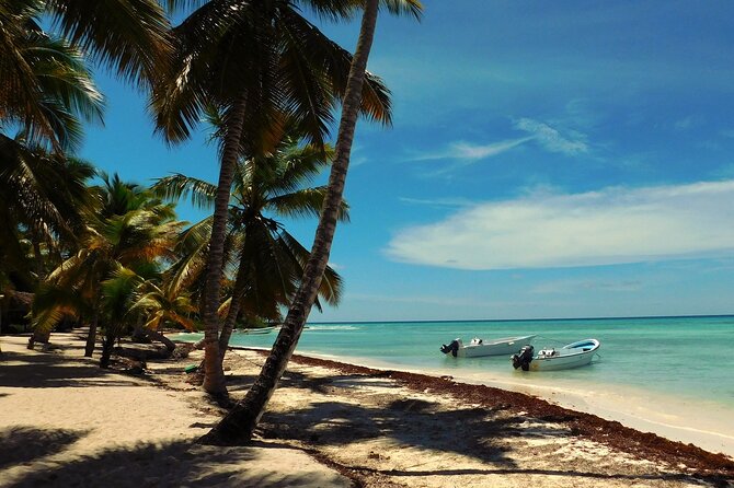 Saona Island Full-Day Tour from Las Terrenas with Lunch - Getting to Saona: Speedboat Out, Catamaran Back