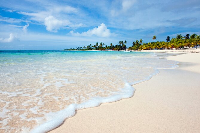 Saona Island Full-Day Tour from Punta Cana Bayahibe All Inclusive - Key things I’d book this for