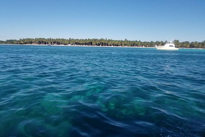 Saona Island Full-Day Tour from Santo Domingo - Natural Pool: knee- or waist-deep water and a scenic swim stretch