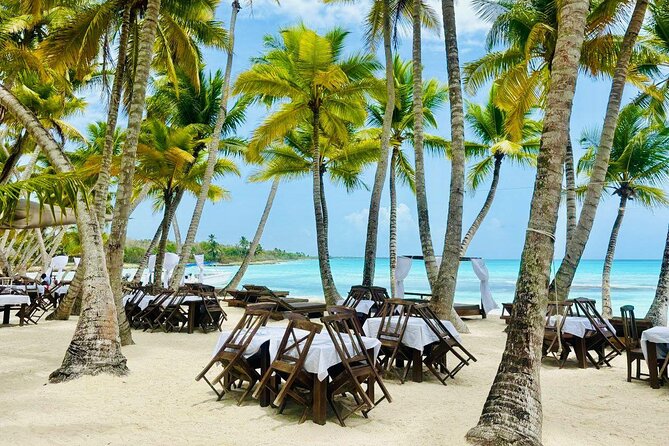 Saona Island Full Day Tour with Buffet Lunch, Paella, & Open Bar - Key Highlights I’d Plan Around