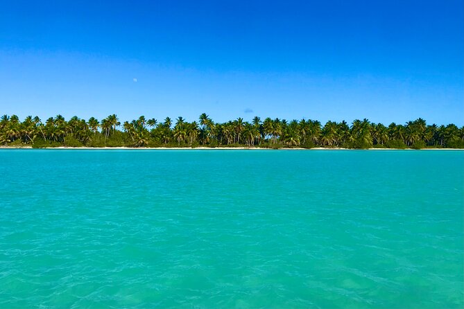 Saona Island Full Day Tour with Buffet Lunch, Paella, & Open Bar - Stop 2: Palmilla Natural Pool for Shallow, Clear Water