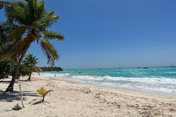Saona Island Full Day Tour with Buffet Lunch, Paella, & Open Bar - Stop 3: Saona Island Beach Time and Paella Lunch