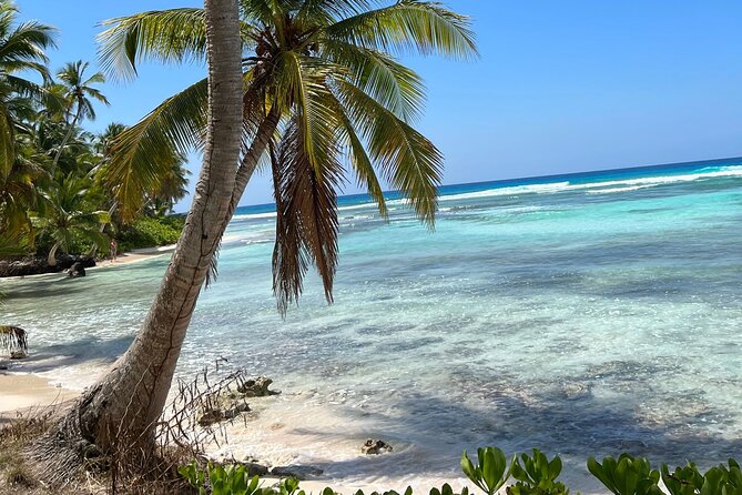 Saona Island Full Day Tour with Buffet Lunch, Paella, & Open Bar - Snorkeling Time: Marine Life Without Needing a Plan