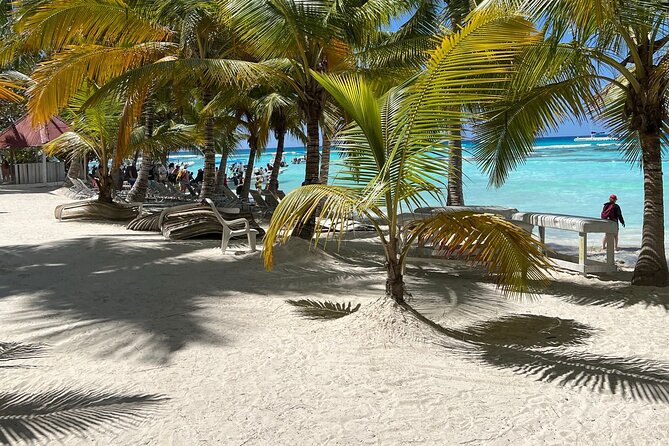 Saona Island Full Day Tour with Buffet Lunch, Paella, & Open Bar - Stop 4: Returning to Bayahibe and Getting Back to Your Hotel