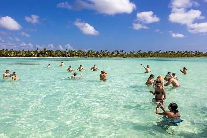 Saona Island Full-Day Tour with Lunch from Punta Cana - Key highlights worth planning for
