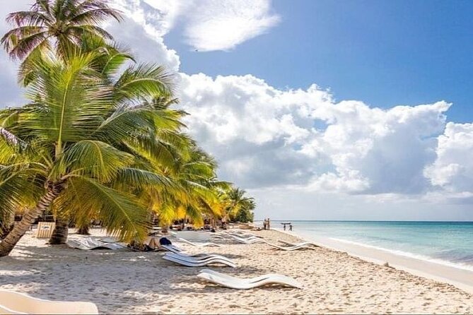 Saona Island Full-Day Tour with Lunch from Punta Cana - From Punta Cana hotels to the Bayahibe port: where the day starts
