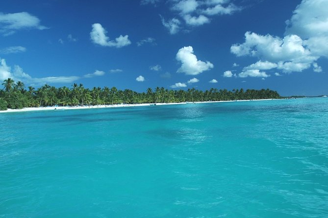 Saona Island Full-Day Tour with Lunch from Punta Cana - Saona Island free time: beach, natural pool, and managing the crowds