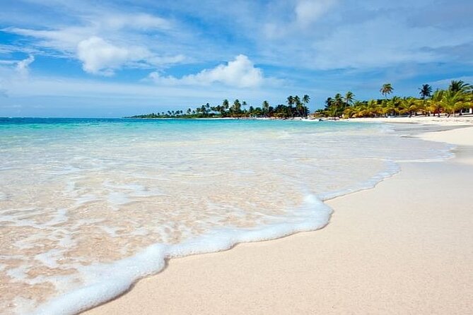 Saona Island Full-Day Tour with Lunch from Punta Cana - Buffet lunch by the sea: good convenience, uneven seasoning
