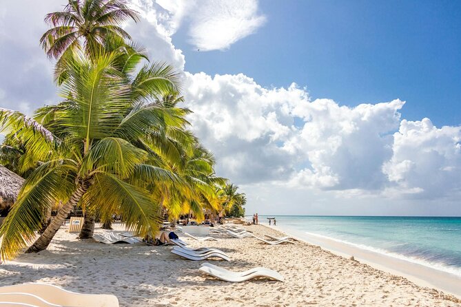 Saona Island Full-Day Tour with Lunch from Punta Cana - Who should book this Saona Island tour from Punta Cana