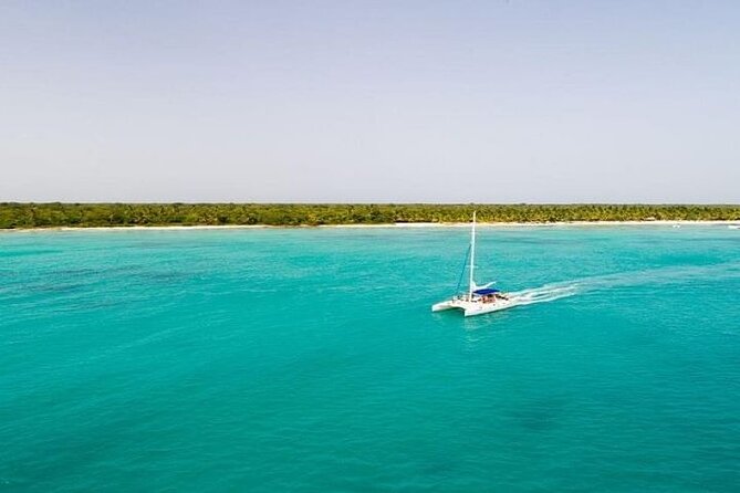 Saona Island Full-Day Tour with Lunch from Punta Cana - Catamaran cruising and swim stops: the sea segment that sets the mood