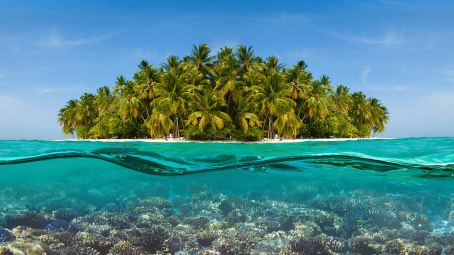 Saona Island: Hidden Beach & Natural Pool - Entering Saona Island’s hidden shoreline (and why it matters)