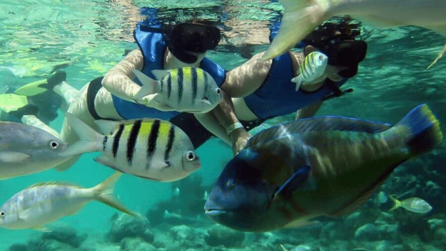 Saona Island: Hidden Beach & Natural Pool - Lunch by the shore: Dominican buffet, plus rum and soft drinks