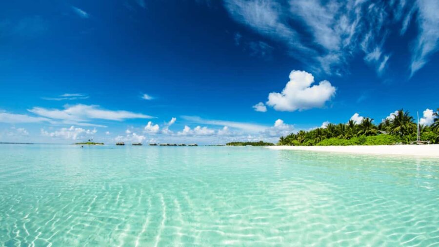 Saona Island: Hidden Beach & Natural Pool - Value check: is $59 worth it for Saona?
