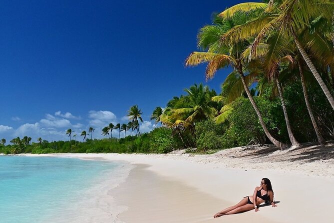 Saona Island, memorable all-inclusive experience, from Santo Domingo. - Key highlights