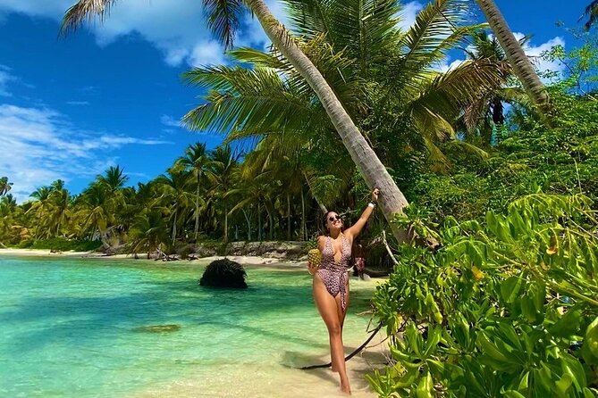 Saona Island, memorable all-inclusive experience, from Santo Domingo. - Saona Island: what makes this day trip feel worth it