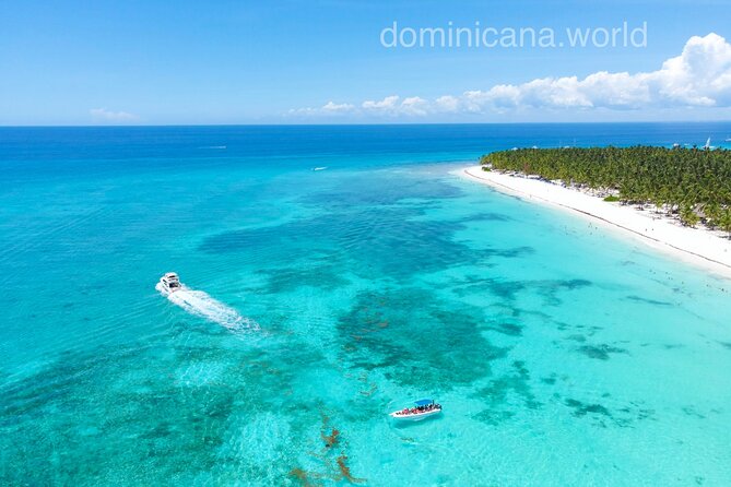 Saona Island, Natural pool Starfish, Fast boat, Catamaran +Dances - Key highlights at a glance