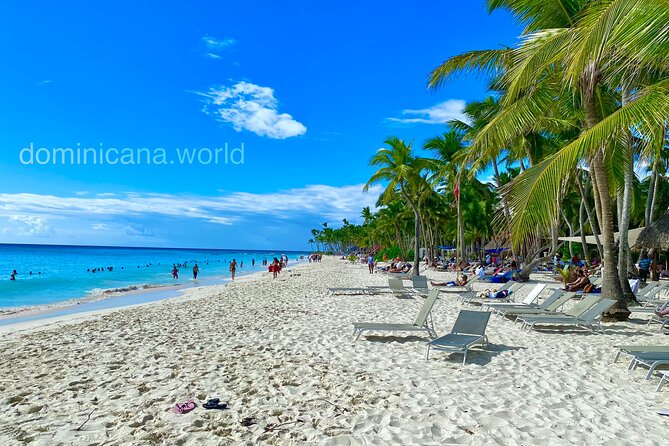 Saona Island, Natural pool Starfish, Fast boat, Catamaran +Dances - Isla Saona Beach Time: Lunch, Dominican Drinks, and Shade