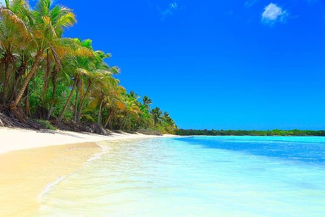 Saona Island Paradise Full Day - all inclusive. From Punta Cana & Bayahibe - Lunch at 1:00 pm and Included Drinks: Comfort Food Without Planning