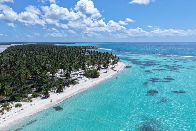 Saona Island Premium Discovery Tour from Punta Cana or Bayahíbe - Why This Saona Tour Feels Different Than Most