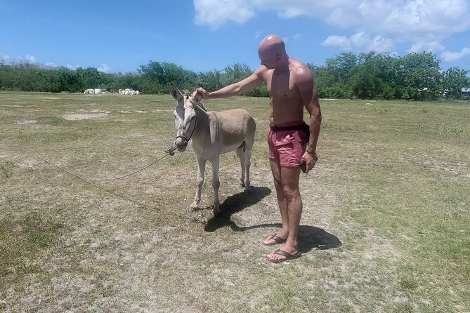Saona Island Premium Discovery Tour from Punta Cana or Bayahíbe - Stop 4: Playa El Toro (About 40 Minutes, Pink Sand Energy)