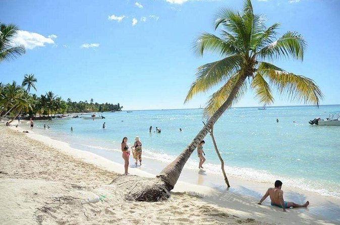 Saona Island Private +8 People Platinum Transfer - Group Size 10–15: Private Without Feeling Isolated
