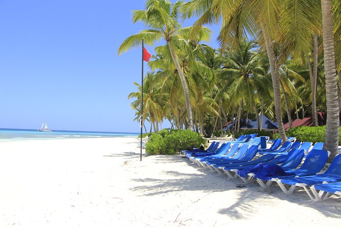 Saona Island Private Boat Tour with Lunch and Beverages - Saona, but calmer: why private from Punta Cana is worth it