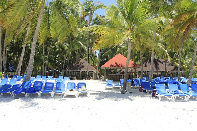 Saona Island Private Boat Tour with Lunch and Beverages - Getting out on the water: boat time, crew help, and the day’s pace