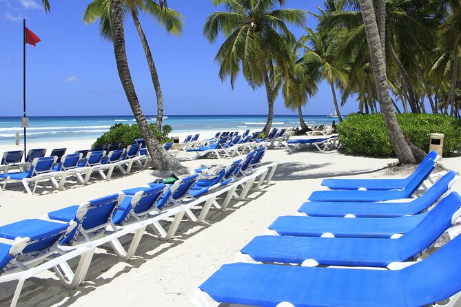 Saona Island Private Boat Tour with Lunch and Beverages - Lunch and drinks: the open bar plan, plus the key reality check
