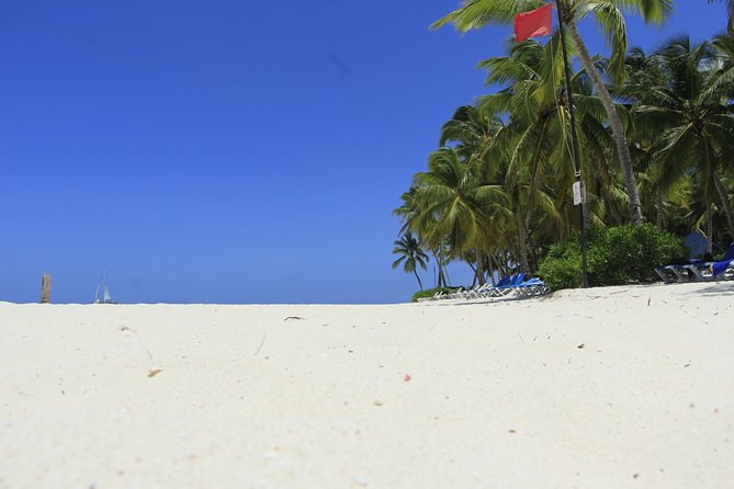 Saona Island Private Boat Tour with Lunch and Beverages - What could go wrong, and how to protect your day