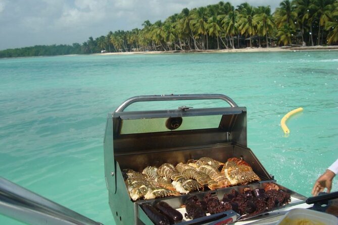 Saona island - Private Tour with a Luxury Speed Boat - Isla Saona beach time: 2 hours where you set the vibe