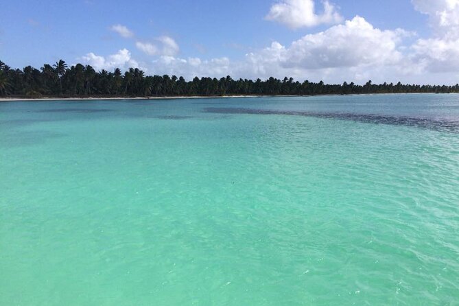 Saona island - Private Tour with a Luxury Speed Boat - Las Palmillas natural pools: shallow swimming and starfish spotting