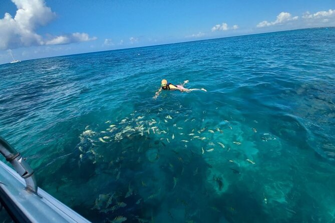 Saona island - Private Tour with a Luxury Speed Boat - Crew experience: Joy, Captain Omar, Sebastian, and Ceasar