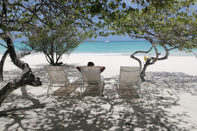 Saona island - Private Tour with a Luxury Speed Boat - Price and value: how $1,490 per group can actually pencil out