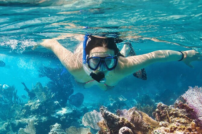 Saona Island : Punta Cana All Inclusive - The Natural Pool stop: 30 minutes for starfish spotting
