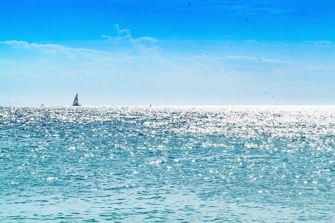 Saona Island Sailing Tour - All Inclusive - Logistics worth thinking about in Punta Cana: pickup timing and transfers