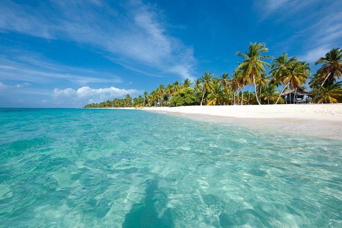 Saona Island Sailing Tour - All Inclusive - Price and value check: is $89.99 worth it?