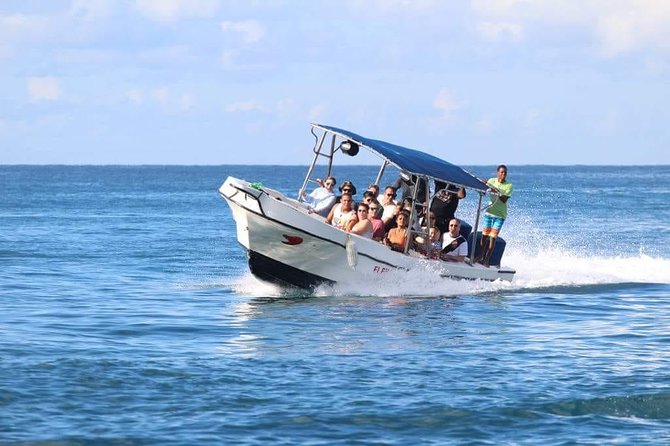 Saona Island Sailing Tour - All Inclusive - Saona Island in 3 hours: swimming, starfishes, lunch, and free time
