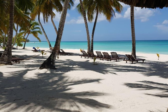 Saona Island small group and relax - luxury catamaran - Food and open bar on board: included means included