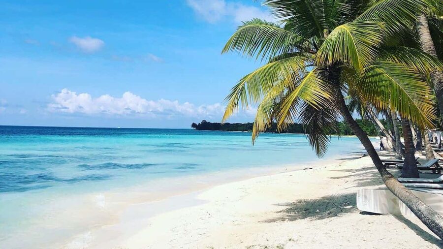 Saona island small group boat with water slide with lunch - Catuano Channel: the mangroves break up the day