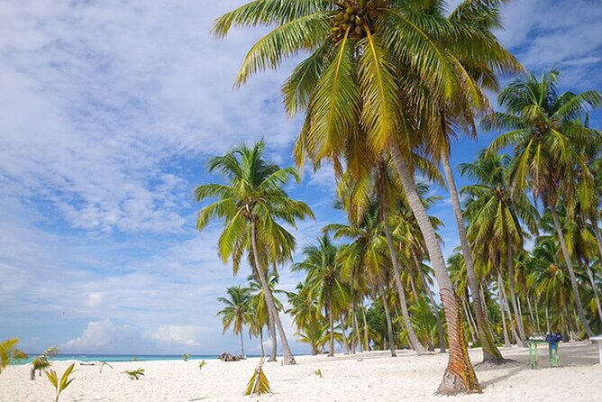 Saona Island Tour and Catamaran Party from Punta Cana - The Catamaran Party on the Return: Unlimited Drinks, Snacks, Dancing, and Loud Music Energy