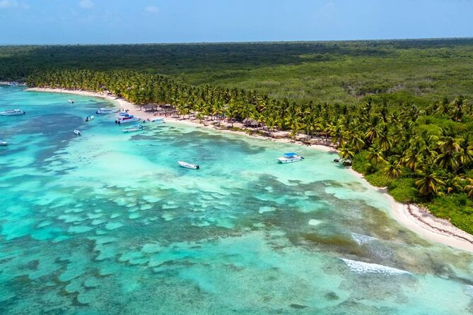 Saona Island Tour and Catamaran Party from Punta Cana - Comfort, Crowds, and Timing: How to Enjoy It Without Losing Your Cool
