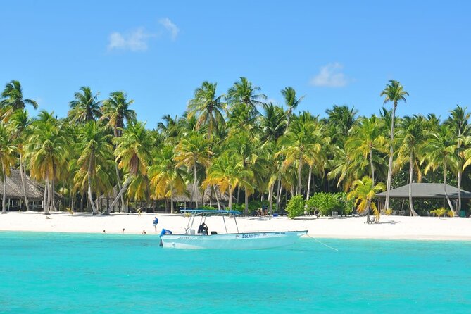 Saona Island Tour from Juan Dolio with pickup - Key highlights at a glance