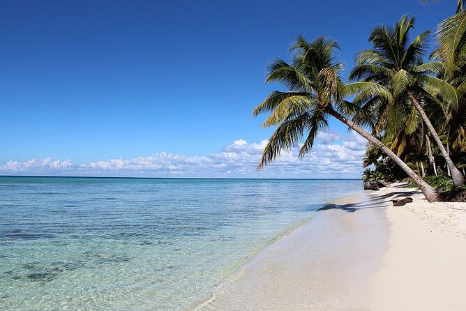 Saona Island Tour from Juan Dolio with pickup - Comfort, weather, and practical tips for a smooth day