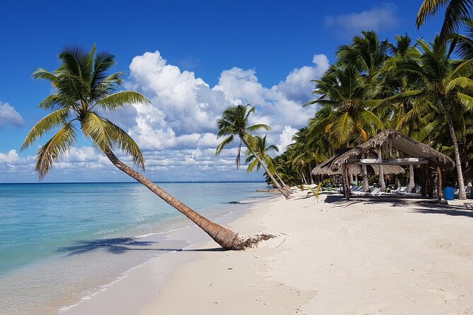 Saona Island Tour from Juan Dolio with pickup - Speedboat to Saona, Catamaran return with open bar