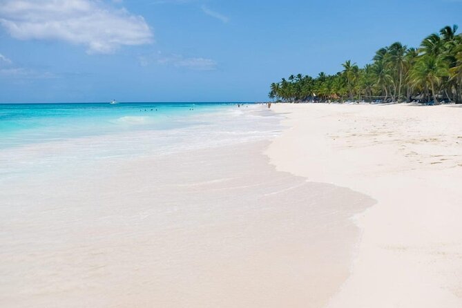 Saona Island Tour From Punta Cana - The Snorkeling Stop: Included Gear and a Practical Game Plan