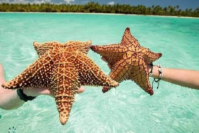 Saona Island Tour from Punta Cana All Inclusive - From Punta Cana to Saona: The Day’s Big Picture