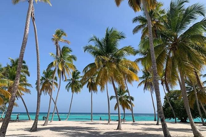 Saona Island Tour from Punta Cana All Inclusive - Hotel Pickup and the Morning Reality Check