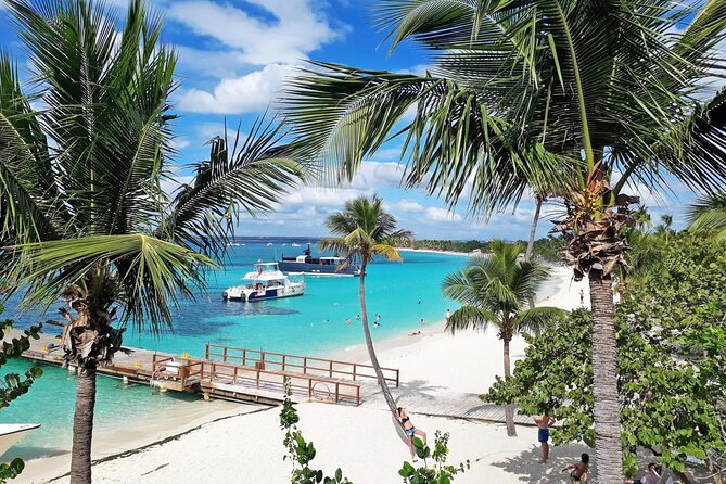 Saona Island Tour from Punta Cana with Lunch, Open Bar & Pickup - Practical tips to make your day run smoother