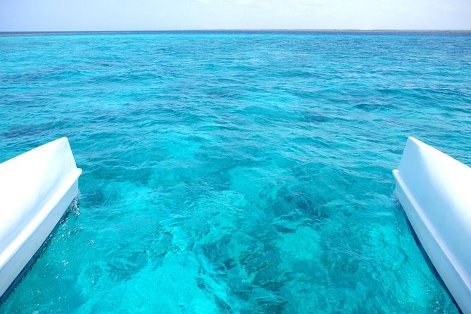 Saona Island Tour From Punta Cana - The 7:00 am Start: How the Bus Ride Sets the Tone